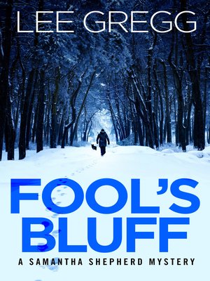 cover image of Fool's Bluff